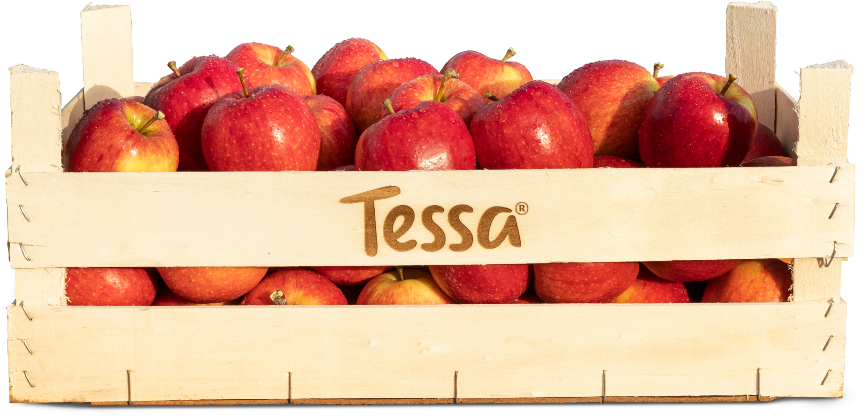 Apple bucket