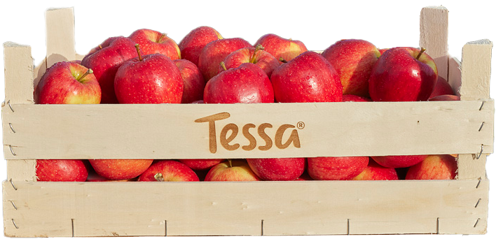 Apple bucket